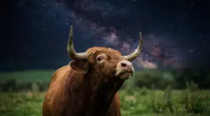 Un toro in un campo con un cielo stellato sullo sfondo
